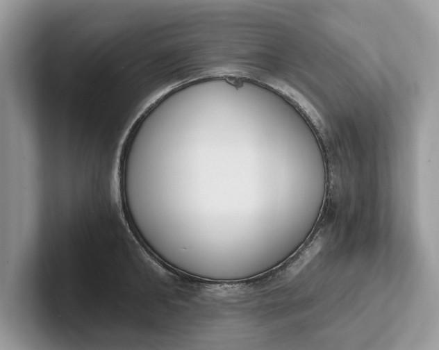 X0000101460902200807211331
