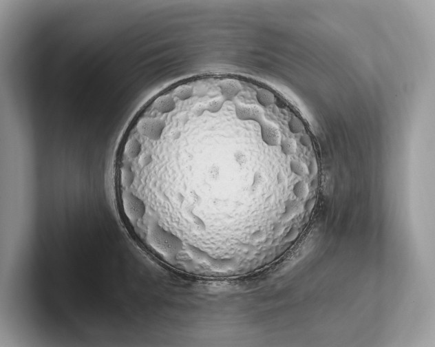 X0000101460903200807211331