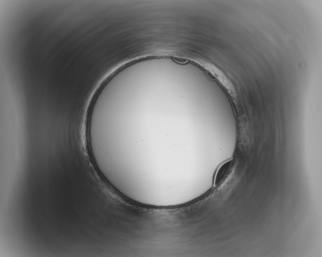 X0000101460904200807211331