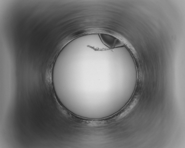 X0000101460905200807211331