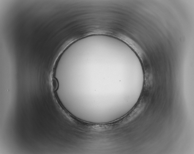 X0000101460906200807211331