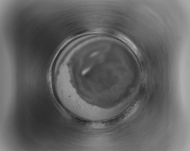 X0000101460907200807211331