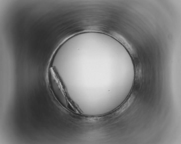 X0000101460908200807211331