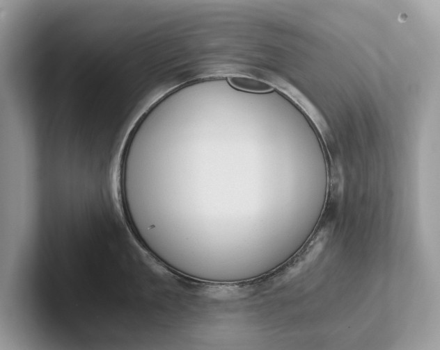 X0000101460909200807211331