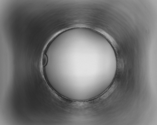 X0000101460910200807211331