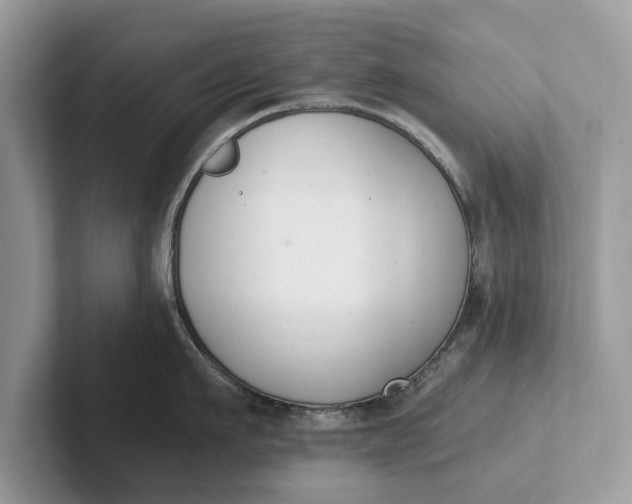 X0000101460911200807211331