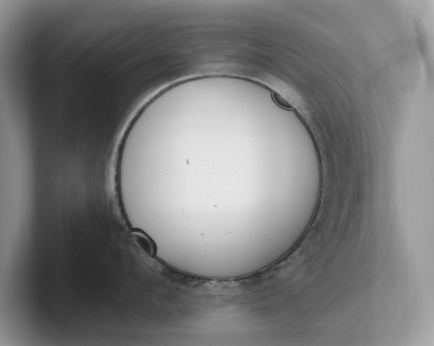 X0000101460912200807211331