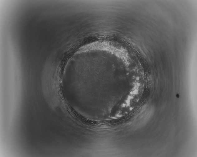X0000101460913200807211330