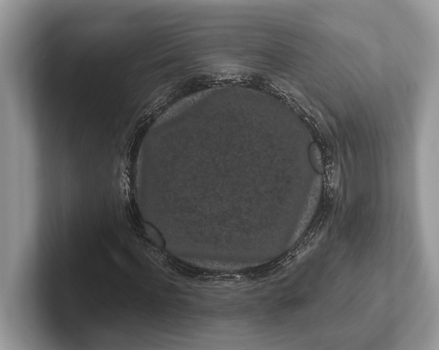 X0000101460916200807211330