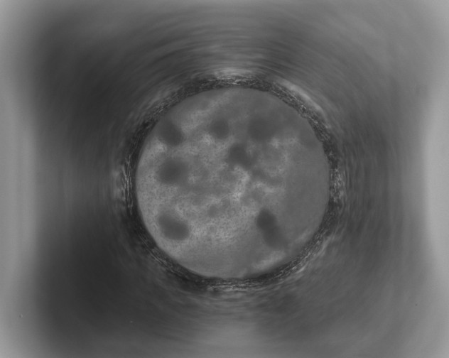 X0000101460917200807211330