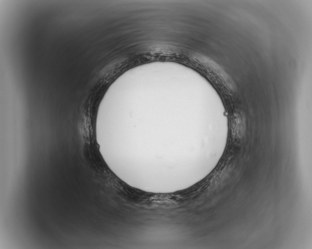 X0000101460918200807211330