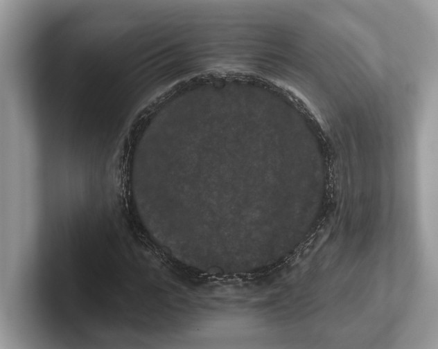 X0000101460919200807211330