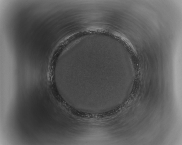 X0000101460920200807211330