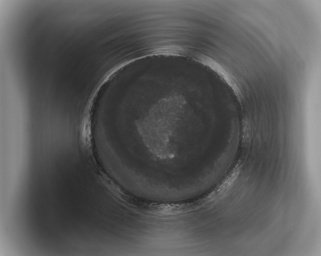 X0000101460923200807211330