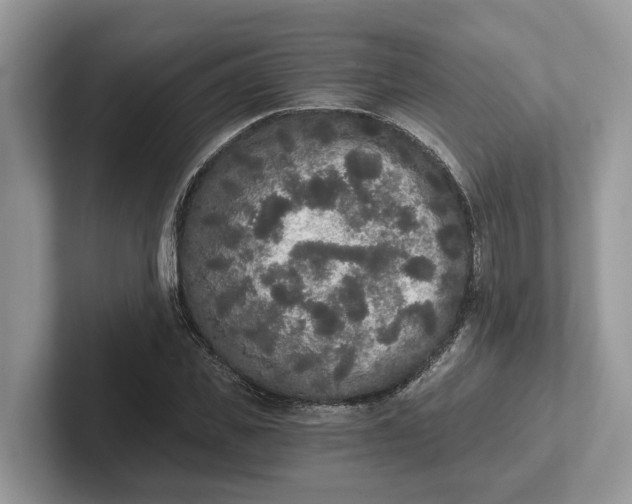 X0000101460925200807211330
