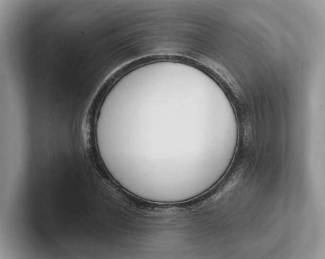 X0000101460926200807211330