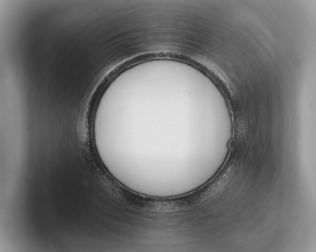 X0000101460927200807211330