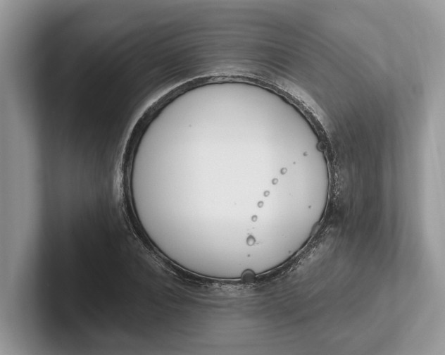 X0000101460928200807211330