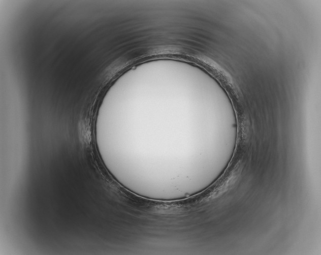 X0000101460929200807211330