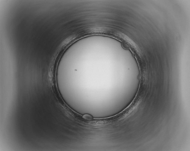 X0000101460930200807211330