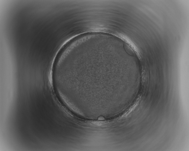 X0000101460932200807211330
