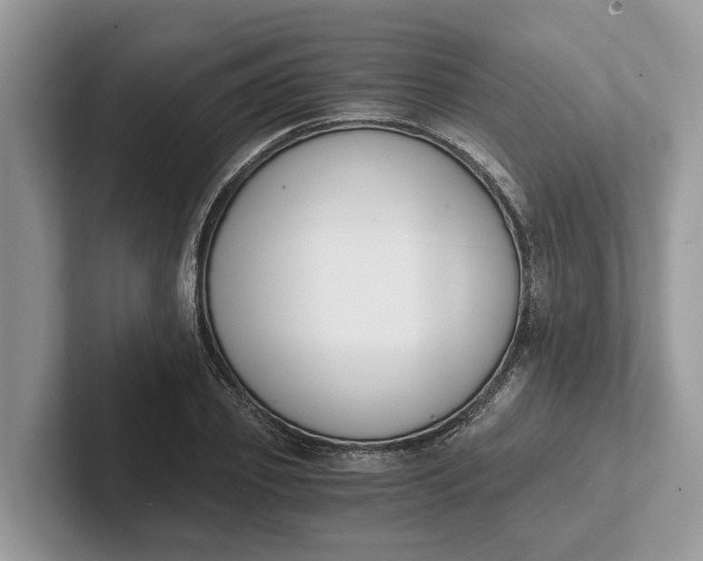 X0000101460933200807211330