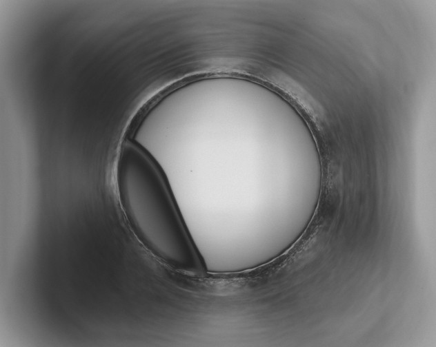 X0000101460936200807211330