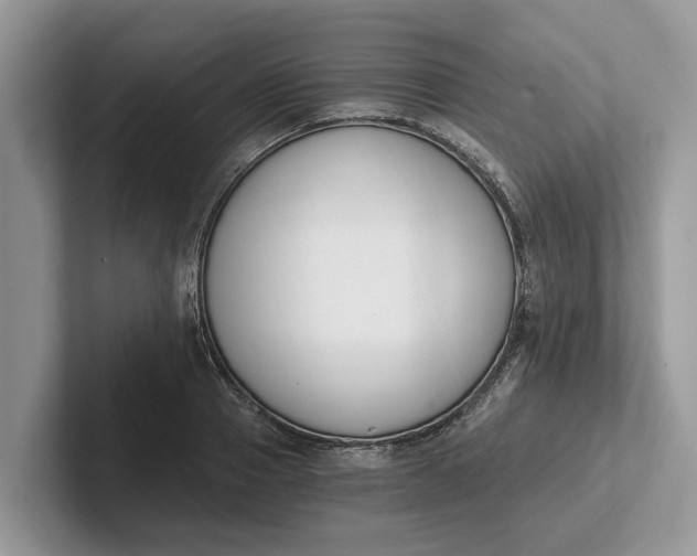 X0000101460937200807211330