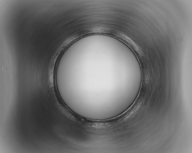 X0000101460938200807211330