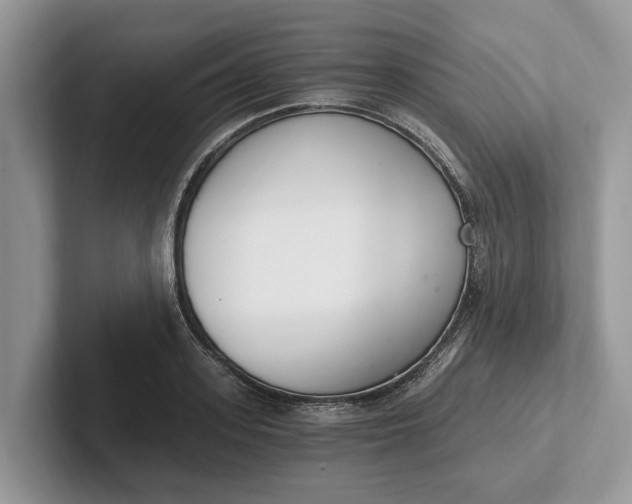 X0000101460939200807211330