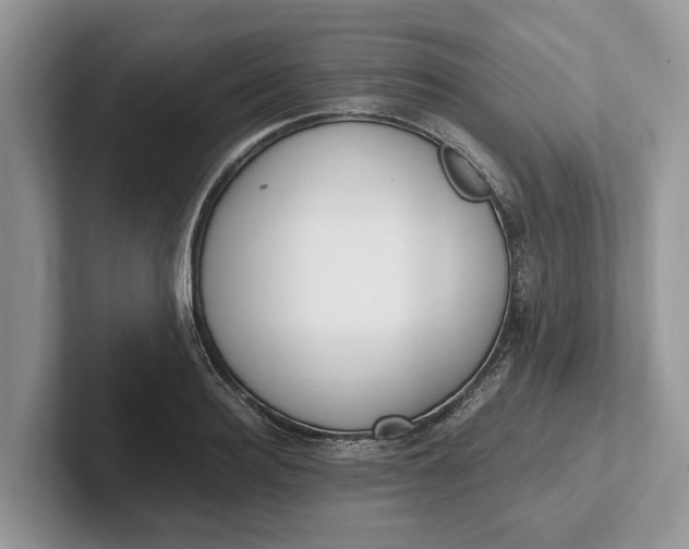 X0000101460940200807211330