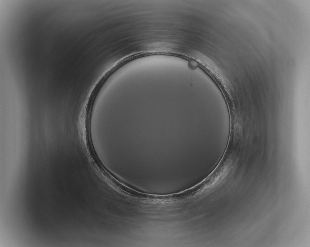 X0000101460941200807211330