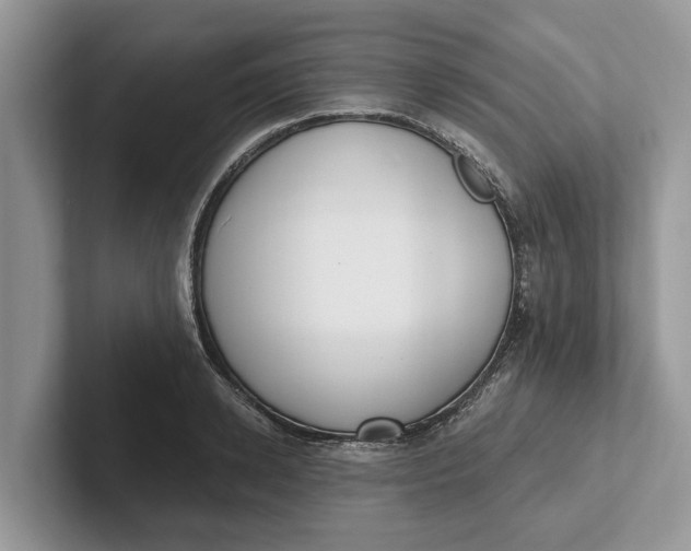 X0000101460942200807211330