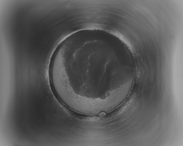 X0000101460943200807211330
