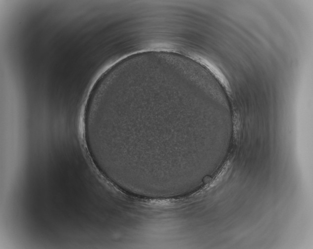 X0000101460944200807211330