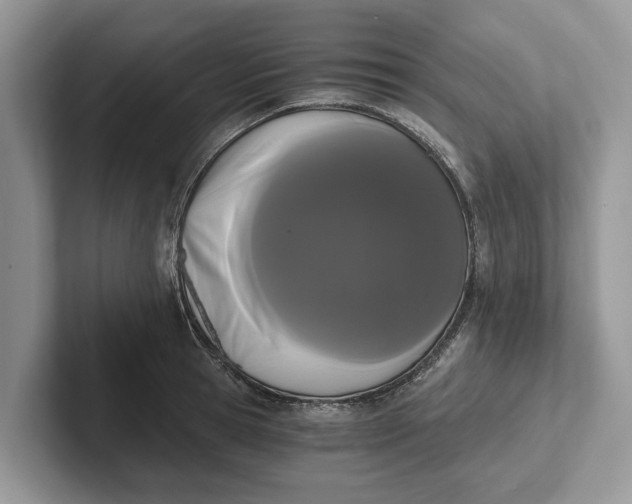 X0000101460945200807211330