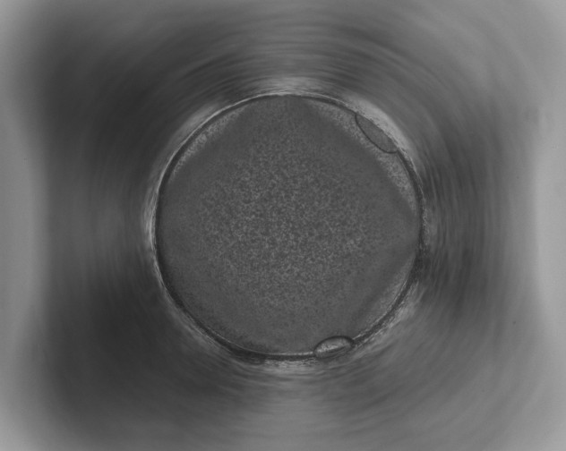 X0000101460946200807211330