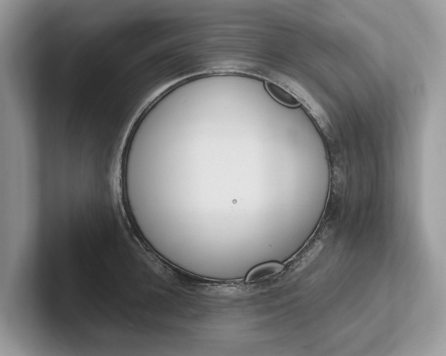 X0000101460948200807211330