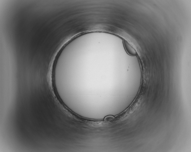 X0000101460949200807211330
