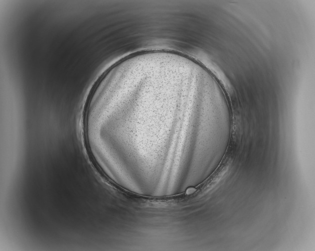 X0000101460951200807211330