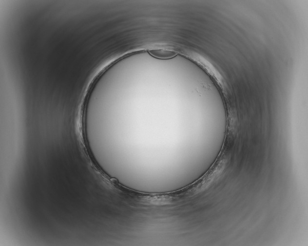 X0000101460952200807211330