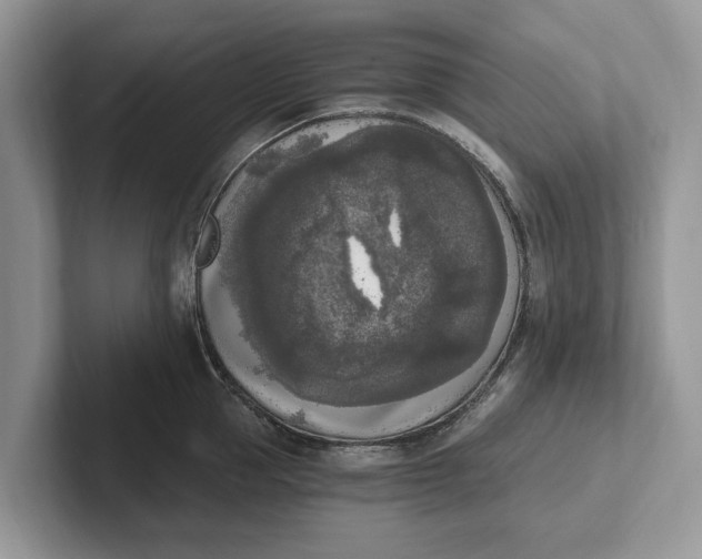 X0000101460953200807211330