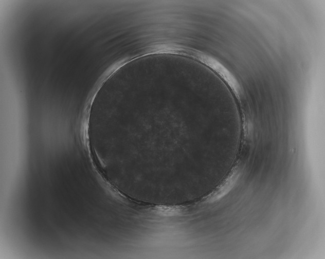 X0000101460954200807211330