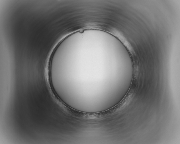 X0000101460955200807211330