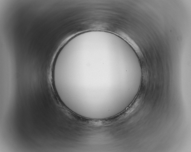 X0000101460956200807211330