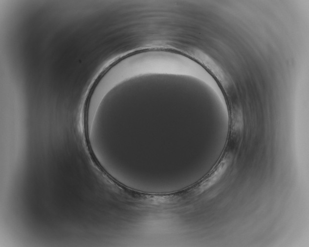 X0000101460958200807211331