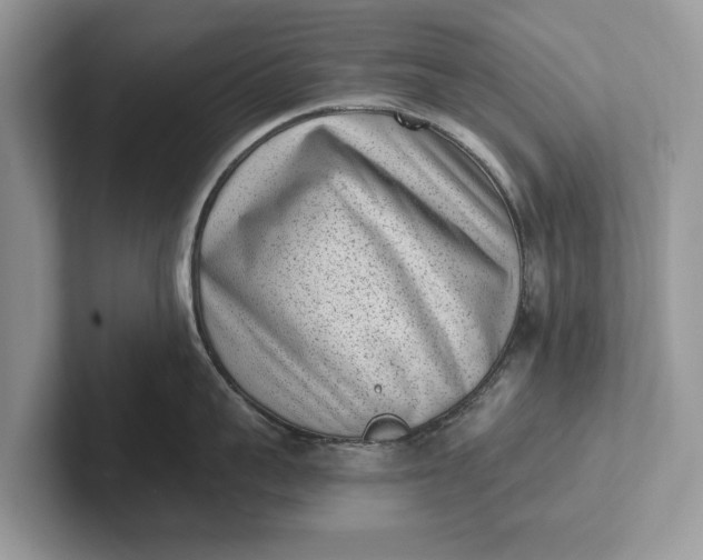 X0000101460959200807211331
