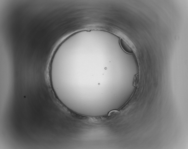 X0000101460960200807211331