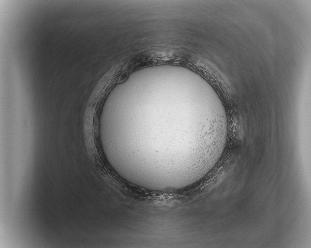 X0000101460961200807211330