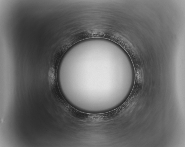 X0000101460963200807211330